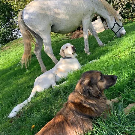 Larre Aundi בית כפרי