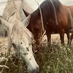 Larre Aundi * Rentería