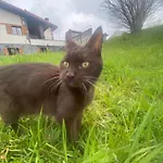 Larre Aundi Casa di campagna