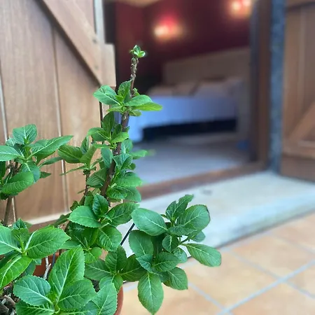 Larre Aundi Séjour à la campagne Rentería