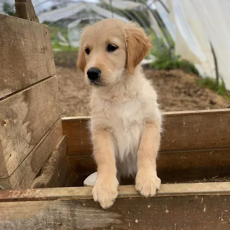 Larre Aundi Séjour à la campagne