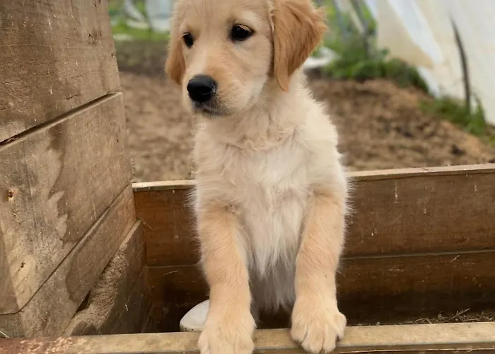 Larre Aundi Landhaus