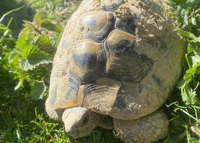 Landhaus Larre Aundi Rentería