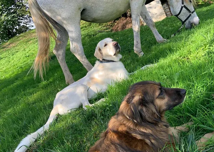 Larre Aundi Landhaus