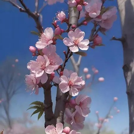 Larre Aundi Renteria