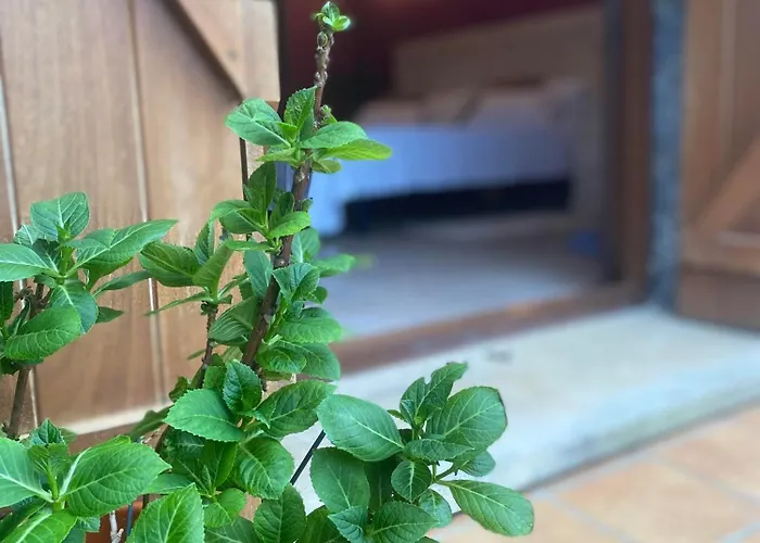 Larre Aundi Lantställe Rentería