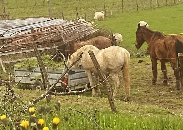 Lantställe Larre Aundi