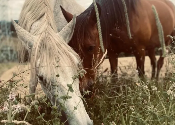 Larre Aundi * Rentería