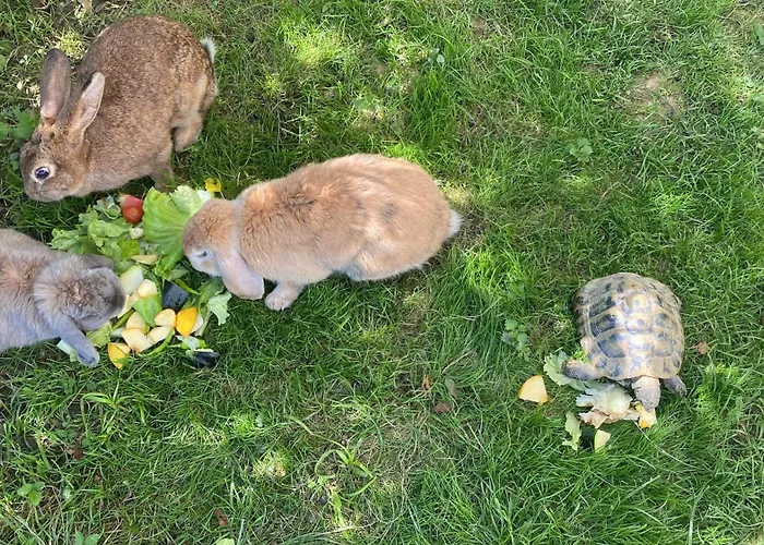 Lantställe Larre Aundi Rentería