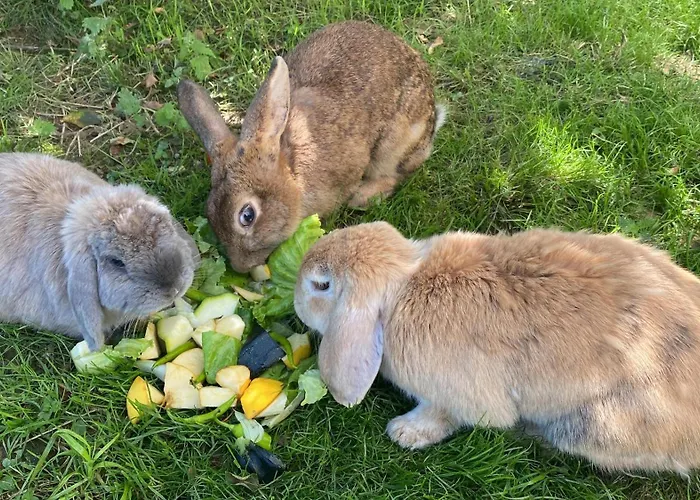 Lantställe Larre Aundi *