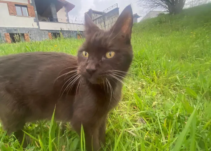 Larre Aundi Lantställe