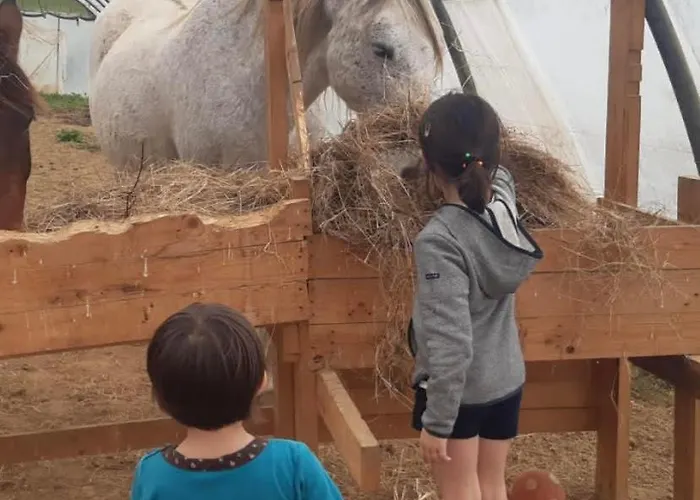 Larre Aundi Rentería